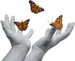 handsreleasingbutterflies